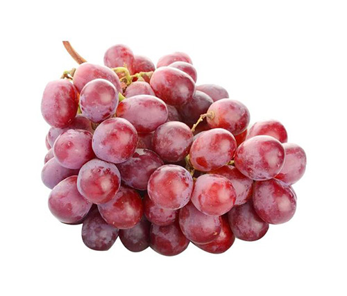 Red earth red grape