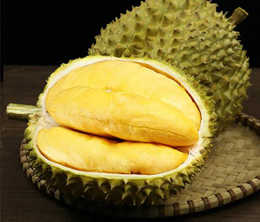 Golden Pillow Durian