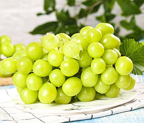 Sunshine Rose Green Grape
