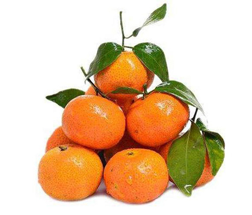 Sugar oranges