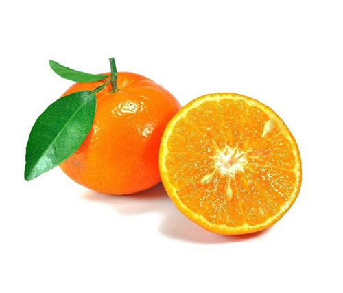 Mandarin orange