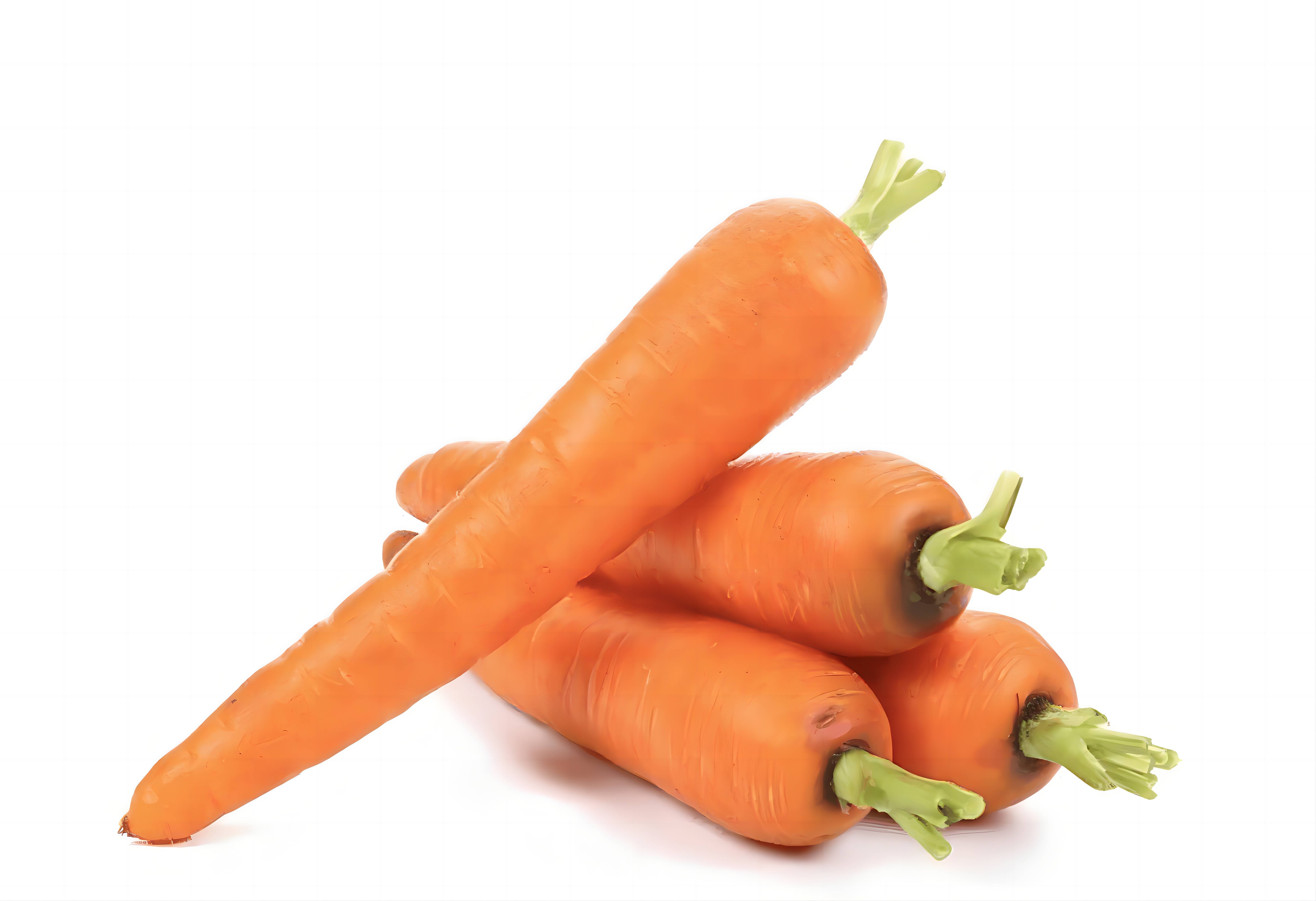 Carrot
