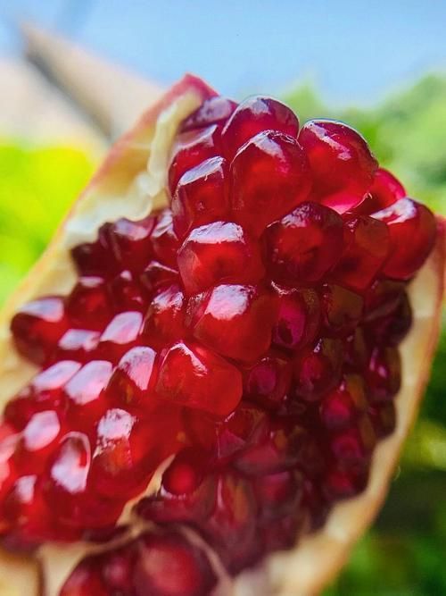 Soft-seeded pomegranate